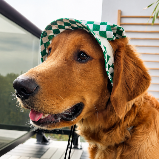 Emerald Checkered Dog Bucket Hat| Sun Protection Dog hat