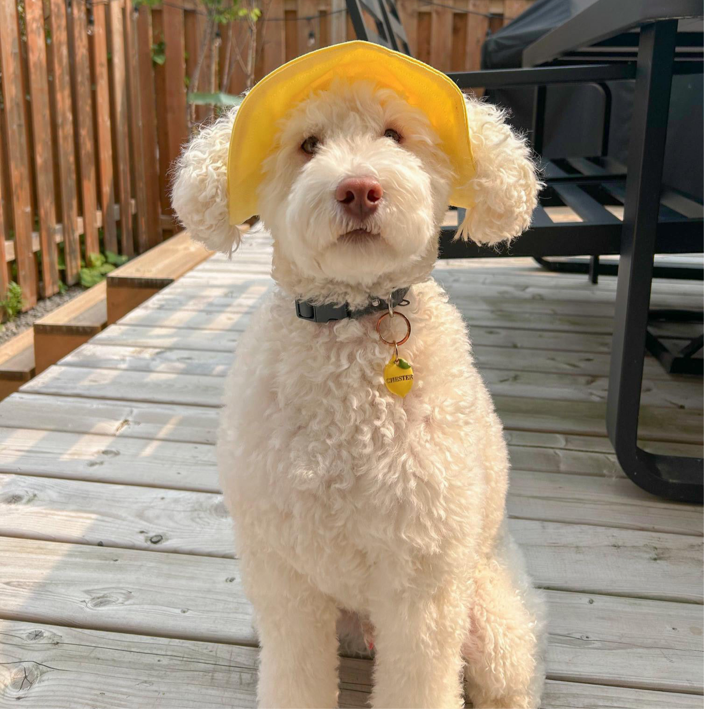 Hello Yellow Dog Bucket Hat