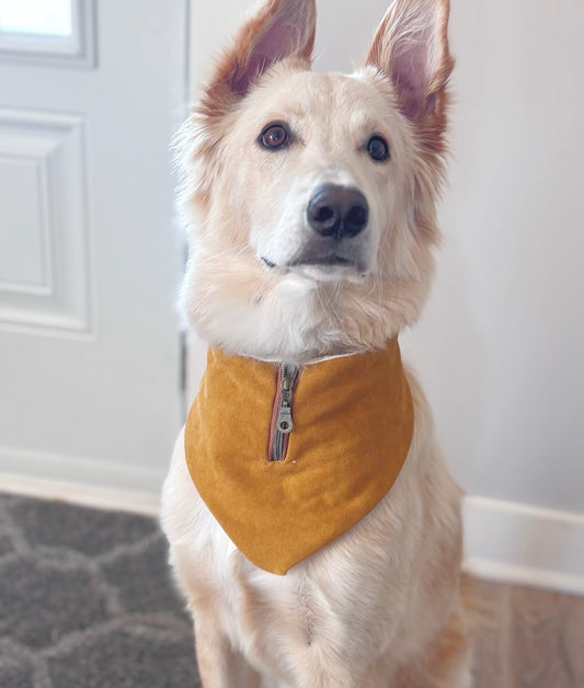 Cord & waffle Reversible handmade dog Bandana| Designer Dog Bandanna