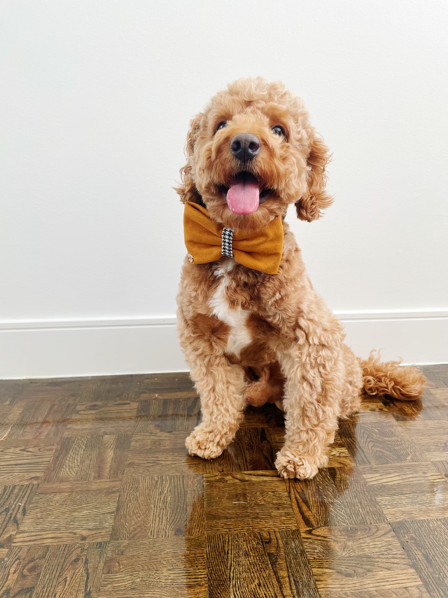 Uptown Suede Handmade Dog collar Bow tie