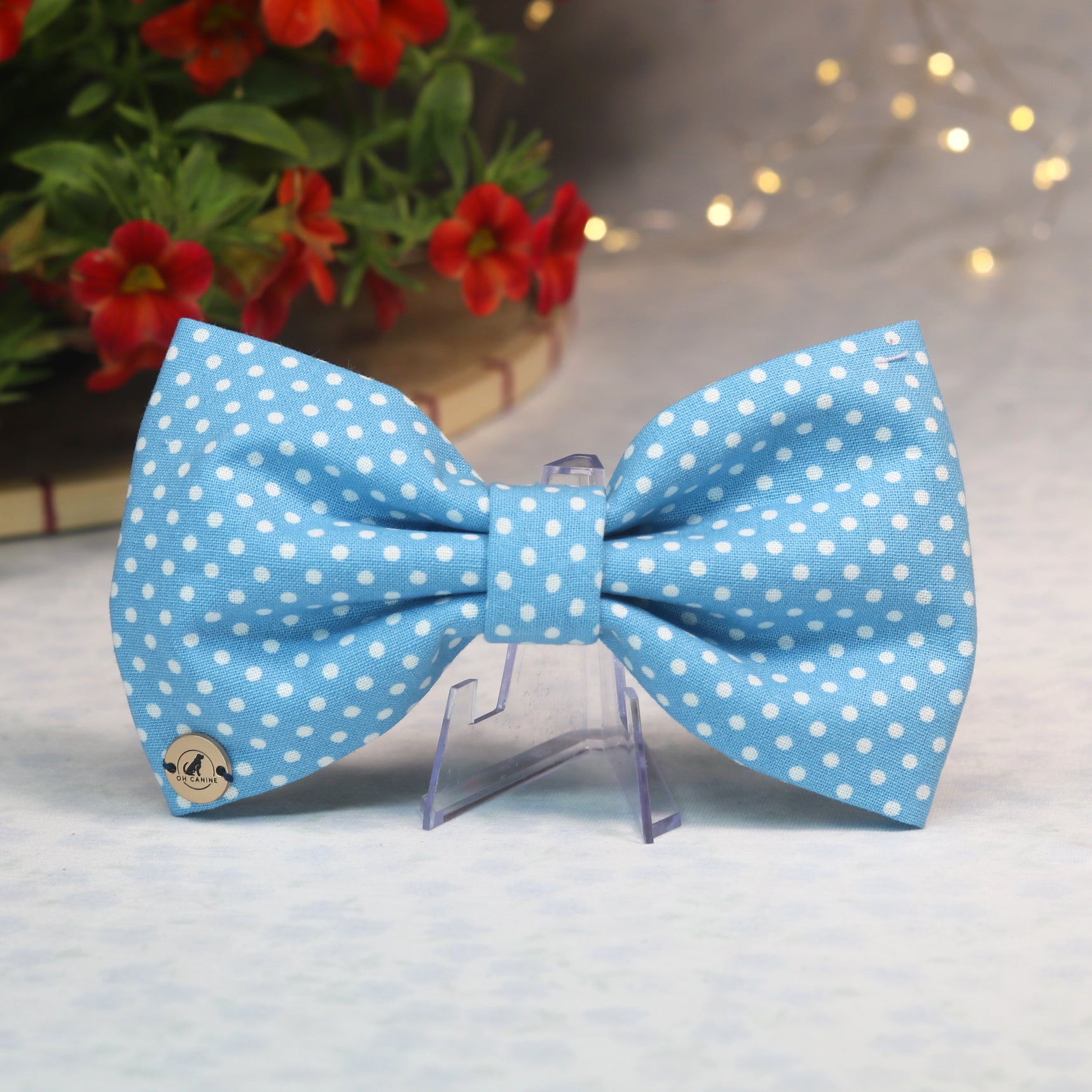 Pawka Dot Blue Bowtie