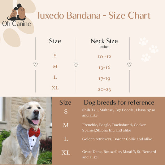 The Valentino Tuxedos for pets