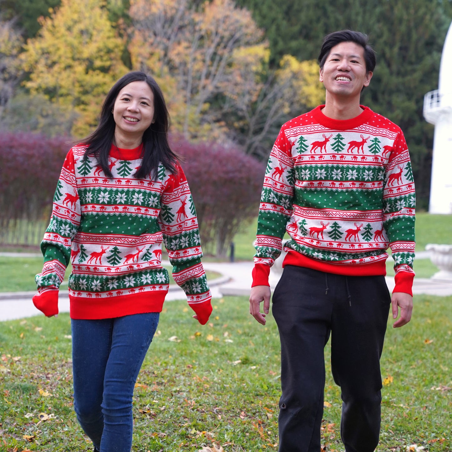 Matching Christmas Sweaters for Dog and Human - Jolly Paws