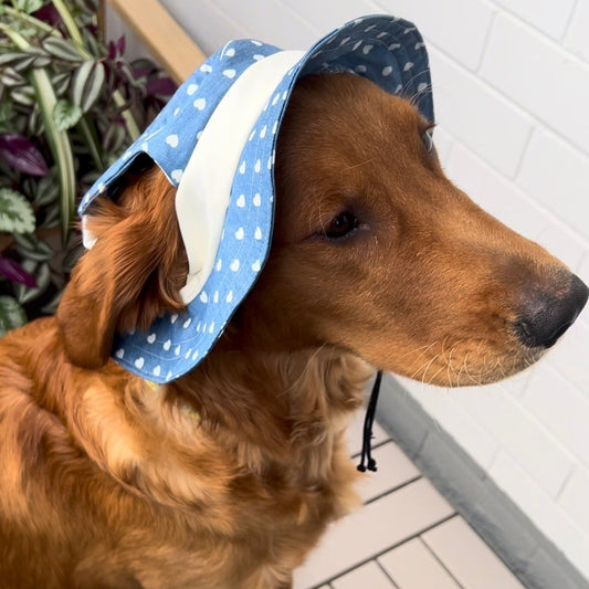 Sweetheart Dog Bucket Hat