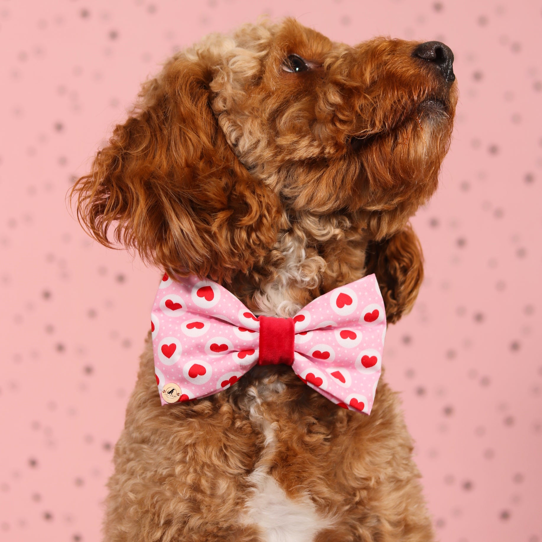 Valentine’s day Pink &Red Heart with velvet Bow tie