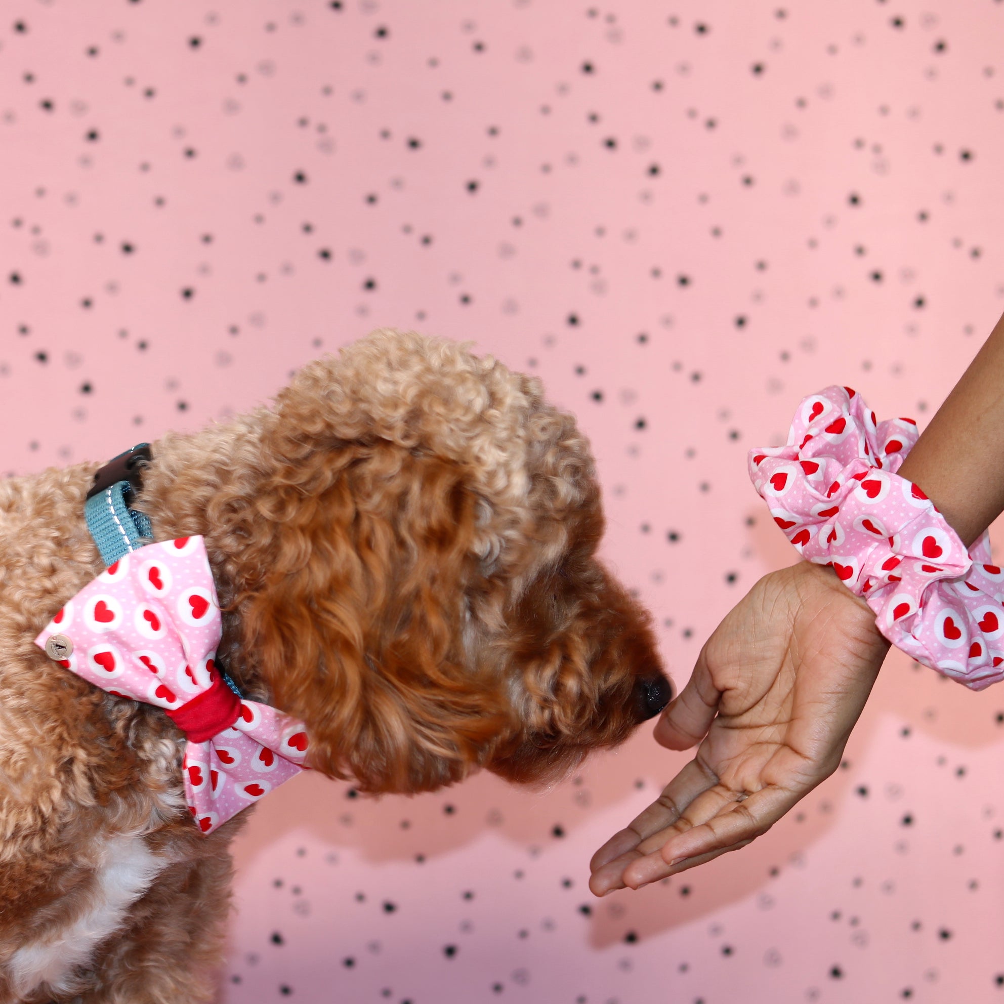 Valentine’s day Pink &Red Heart with velvet Bow tie