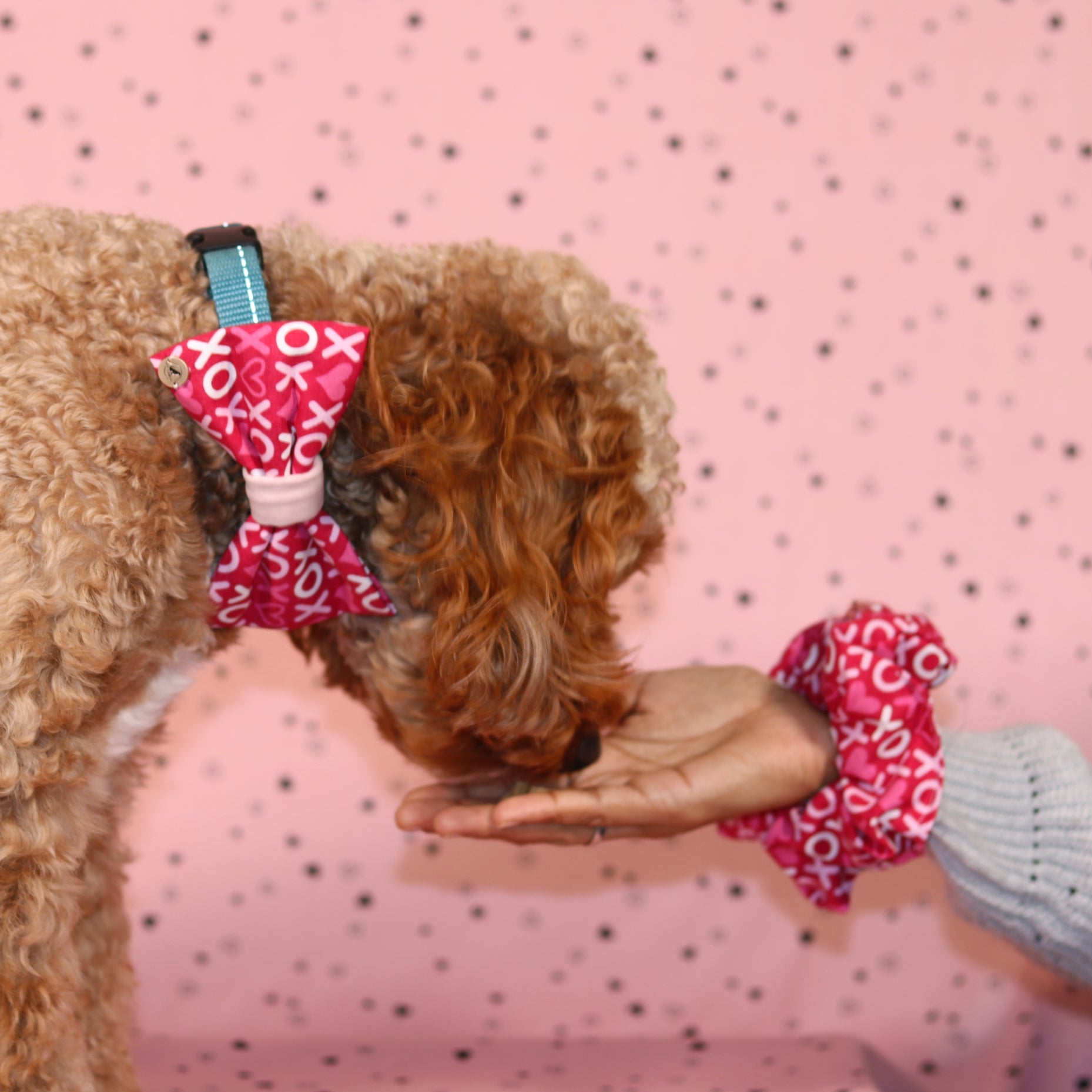 Valentine’s day Pink xoxo pattern with velvet Bow tie