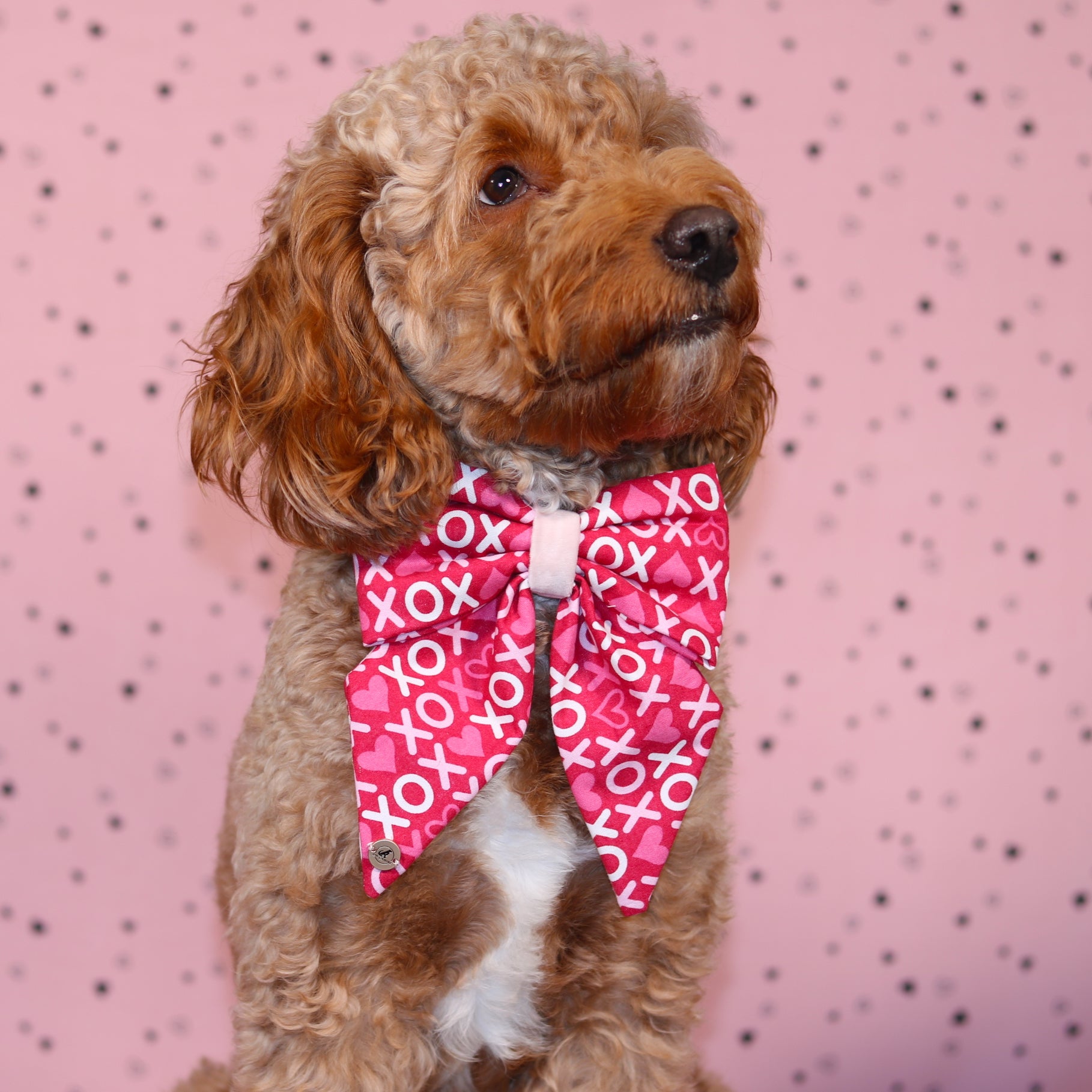 Valentine’s Day Pink XOXO pattern with velvet Handmade Sailor bowtie for your pets