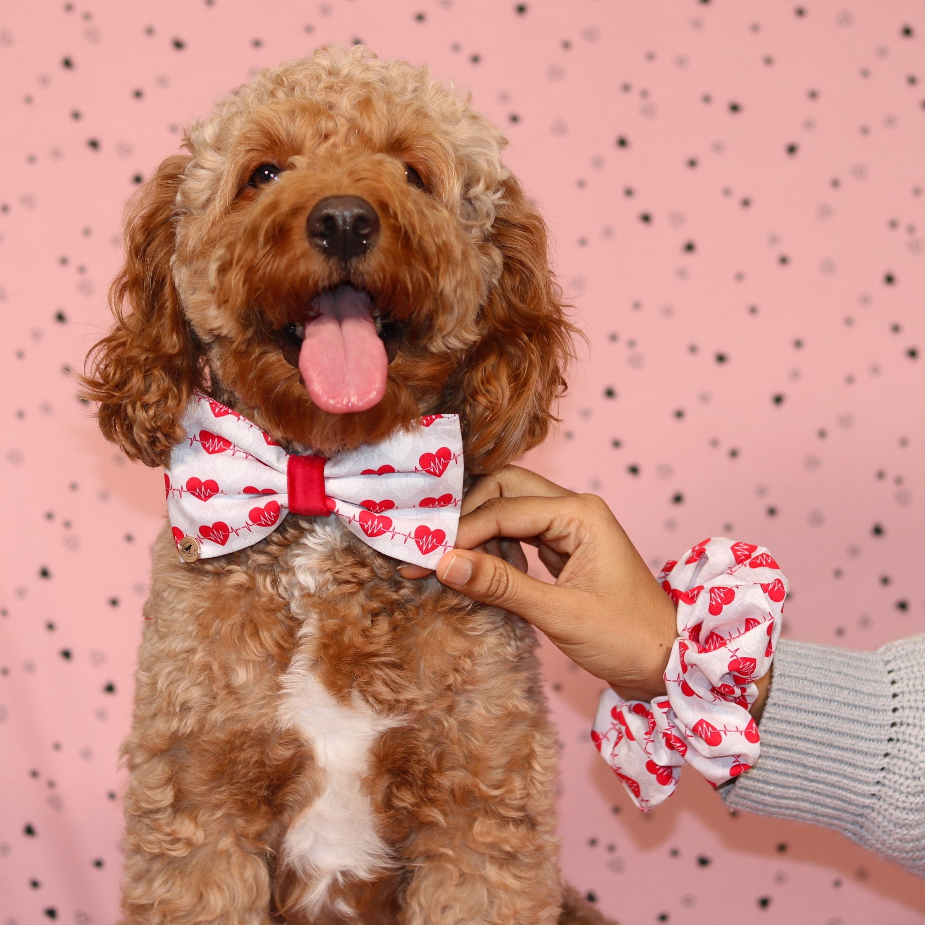 Valentine’s day Red Heart with velvet Bow tie