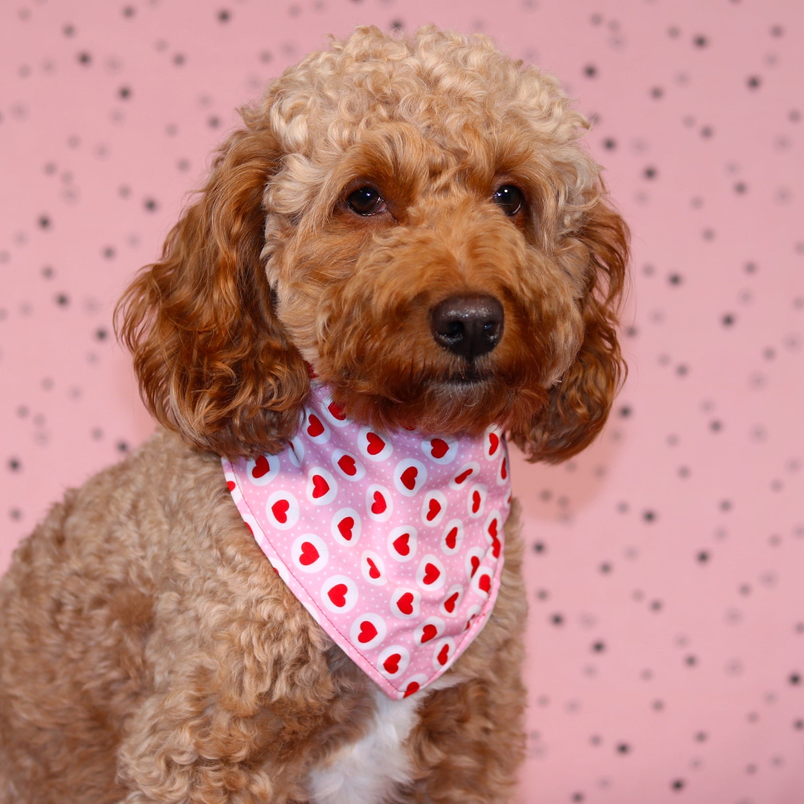 Pink Heart & Initial patch double sided Snap On Bandana | Valentines day Bandana