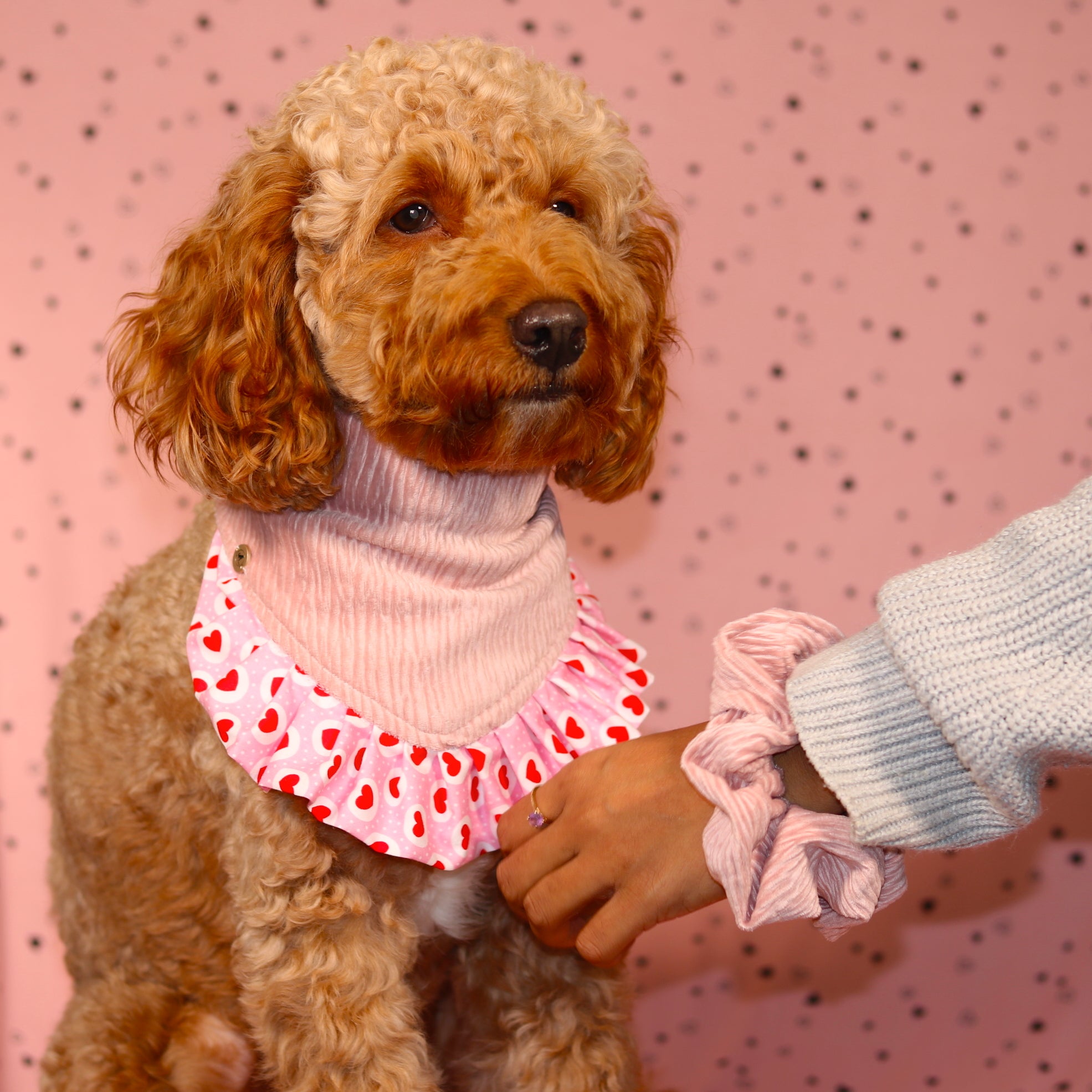 Pretty in Pink Hearts Snap On Bandana for your pet| Valentine’s Day Bandana