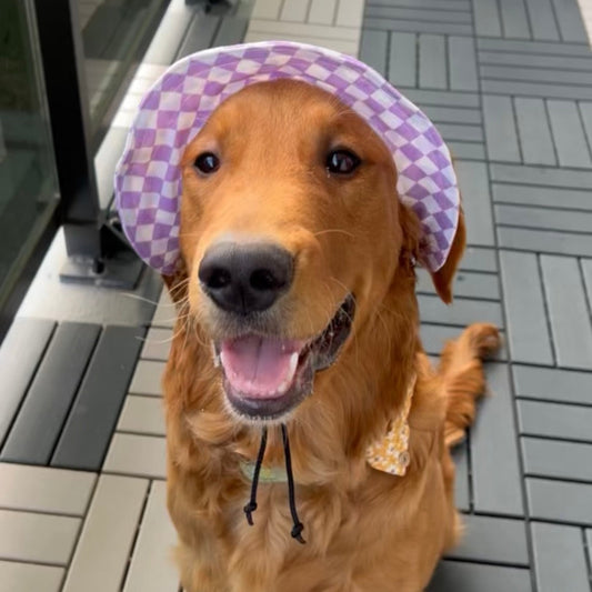 Lavender Cove Dog Bucket Hat