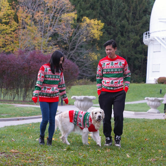 7 Holiday Photo Ideas with Matching Dog and Owner Christmas Sweaters