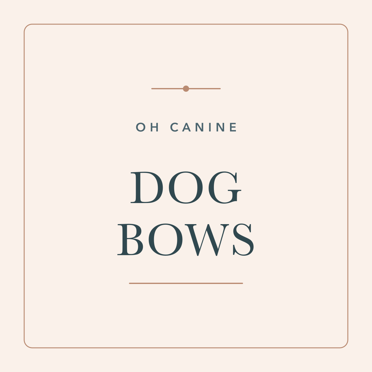 Dog Bows