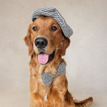 Houndstooth Dog Beret and bowtie set