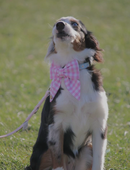 Pink checkered  Handmade Sailor bowtie for your pets