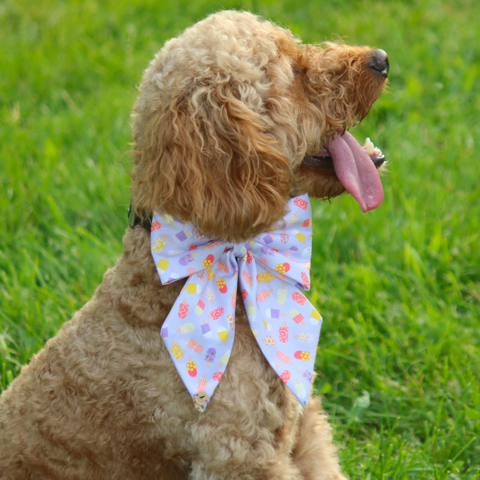 Popsicle SailorBow for Pets