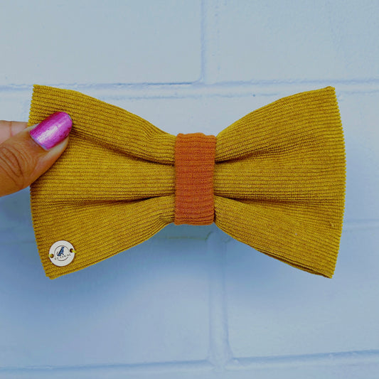 Harvest Glow handmade Dog Bowtie collar