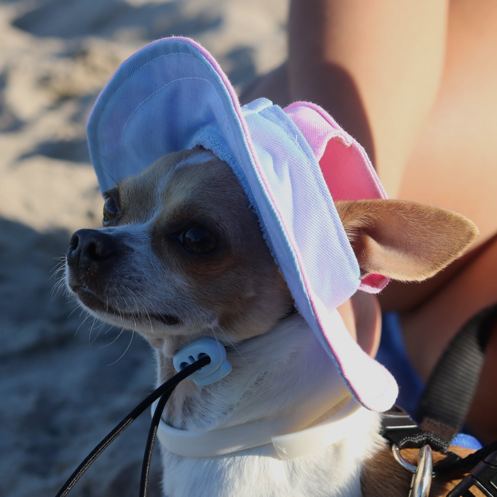 Bubble Skye Dog Bucket Hat