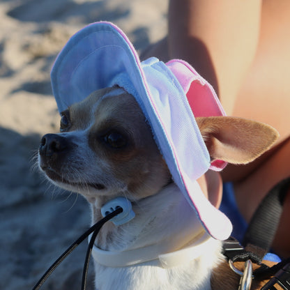 Bubble Skye Dog Bucket Hat