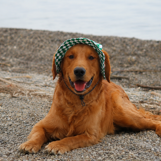 Emerald Checkered Dog Bucket Hat| Sun Protection Dog hat