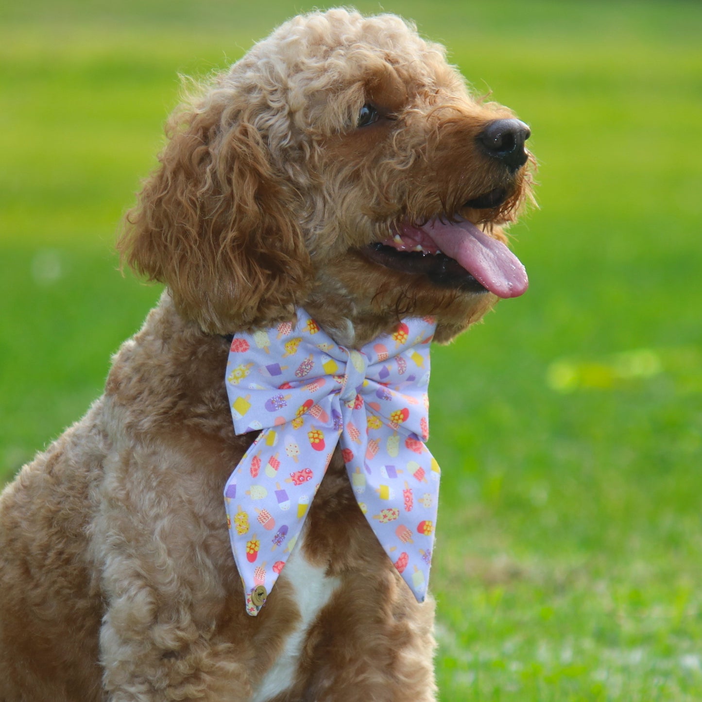 Popsicle SailorBow for Pets