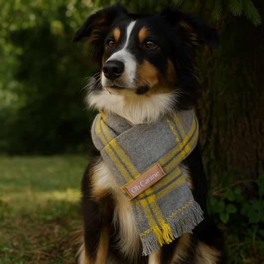 Fog & Flame Handmade Pet scarf