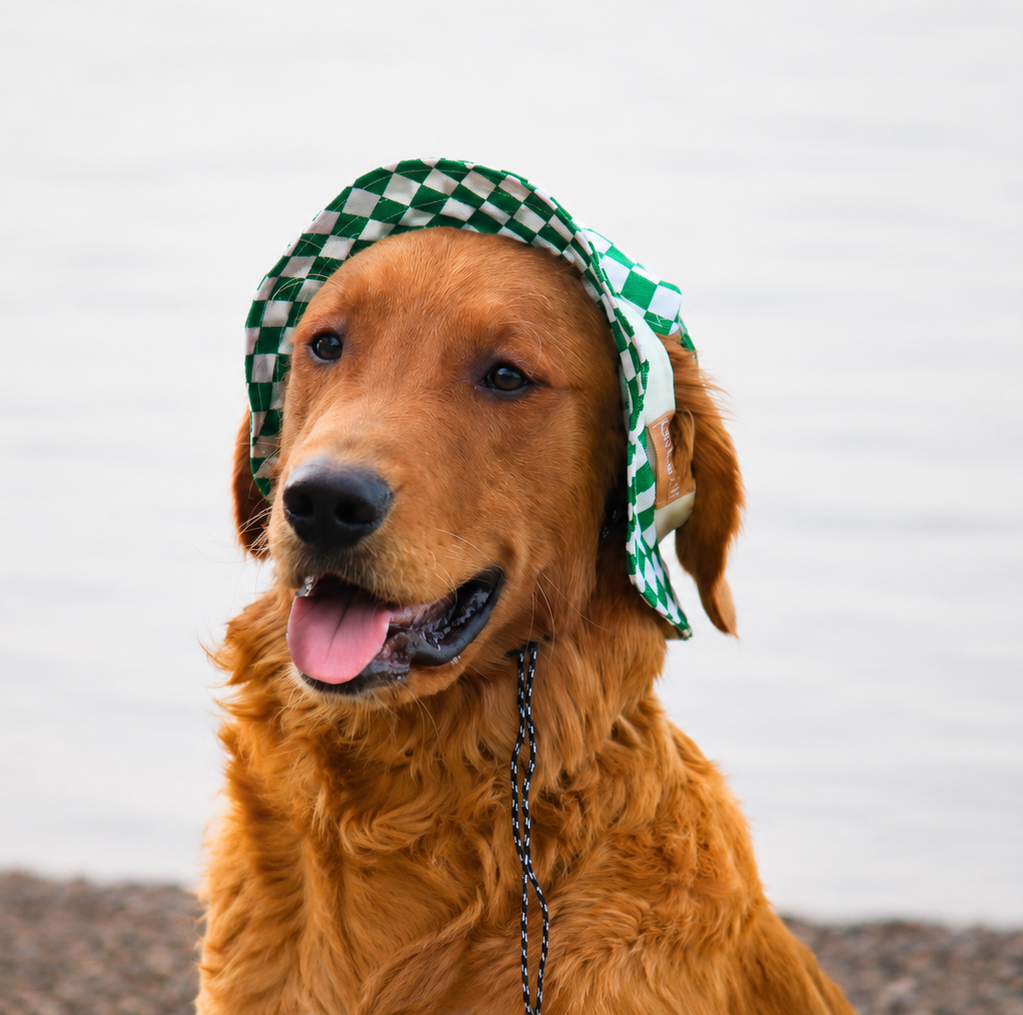 Emerald Checkered Dog Bucket Hat| Sun Protection Dog hat