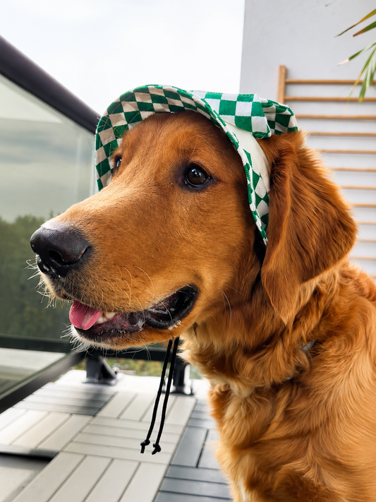 Emerald Checkered Dog Bucket Hat| Sun Protection Dog hat
