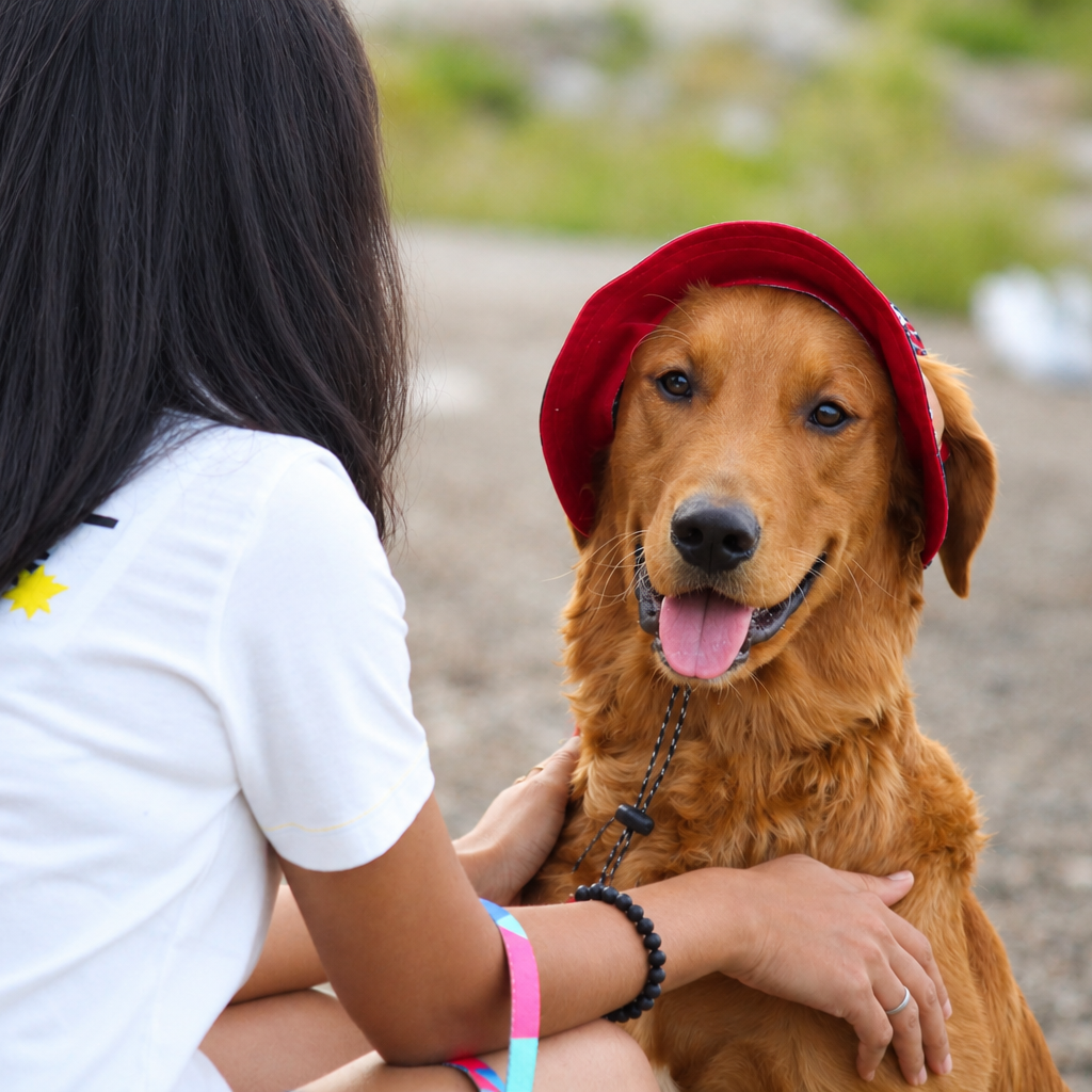Cherry Bloom Dog Bucket Hat