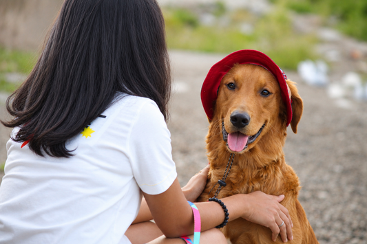 Cherry Bloom Dog Bucket Hat