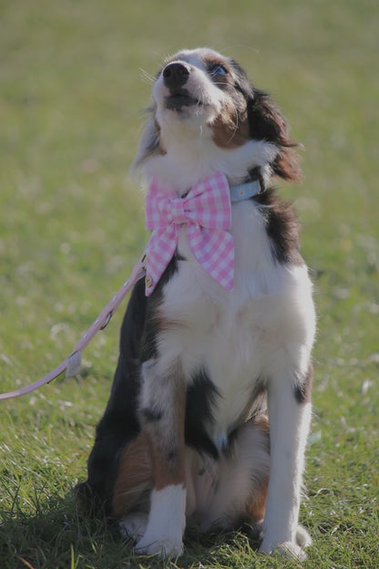 Pink checkered  Handmade Sailor bowtie for your pets