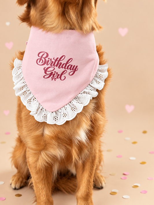 Birthday Belle Dog Bandana & Felt Crown Set