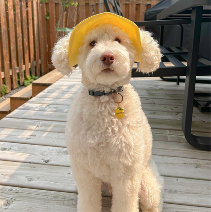 Hello Yellow  Dog Bucket Hat