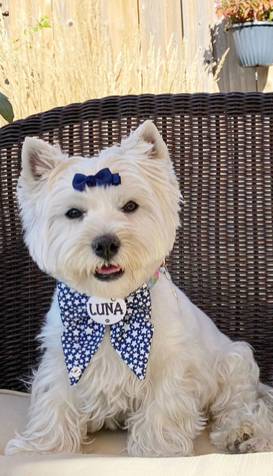 Personalized starry elegance Handmade Dog Collar Sailor bow tie