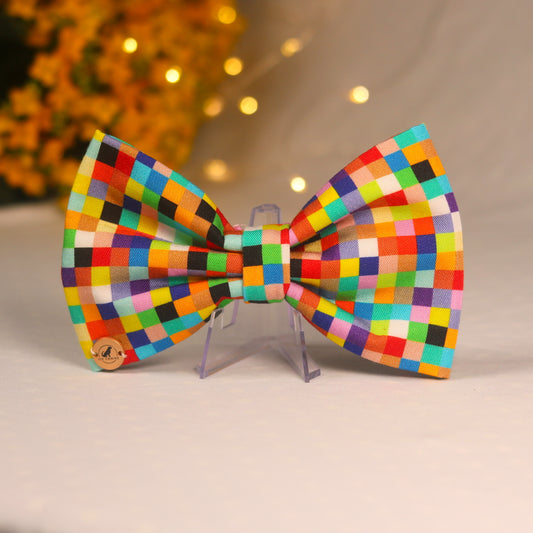 Color blast bow tie for pets