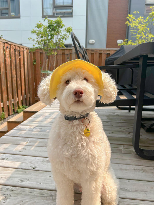 Hello Yellow  Dog Bucket Hat