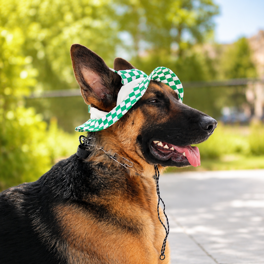 Emerald Checkered Dog Bucket Hat| Sun Protection Dog hat