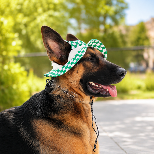 Emerald Checkered Dog Bucket Hat| Sun Protection Dog hat