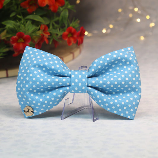 Pawka Dot Blue Bowtie