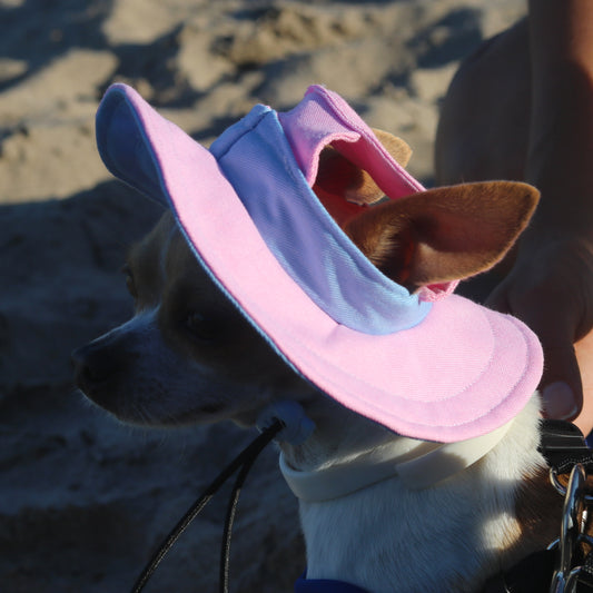 Bubble Skye Dog Bucket Hat