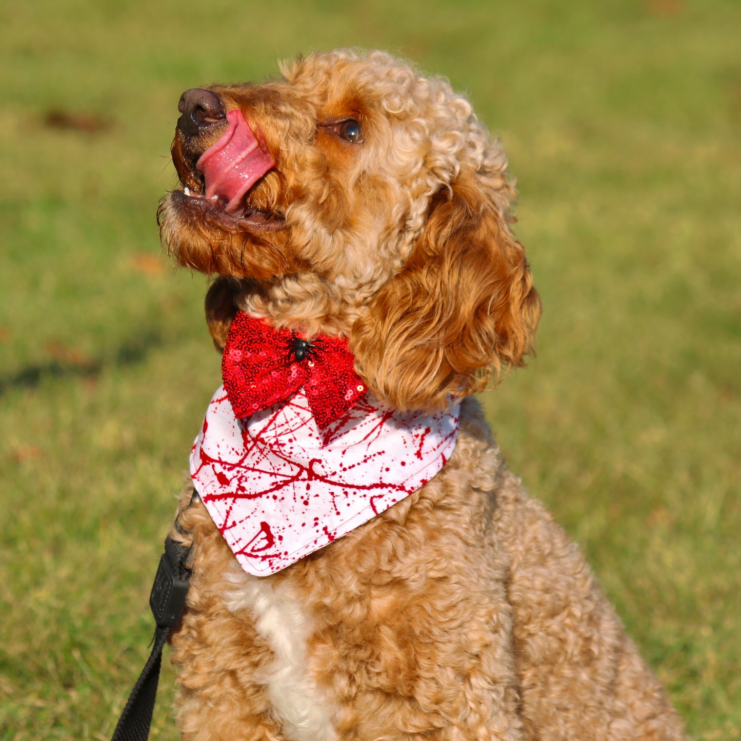 Bandana de créateur pour chien avec éclaboussures de sang d'Halloween et nœud papillon effrayant