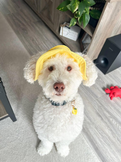 Hello Yellow  Dog Bucket Hat