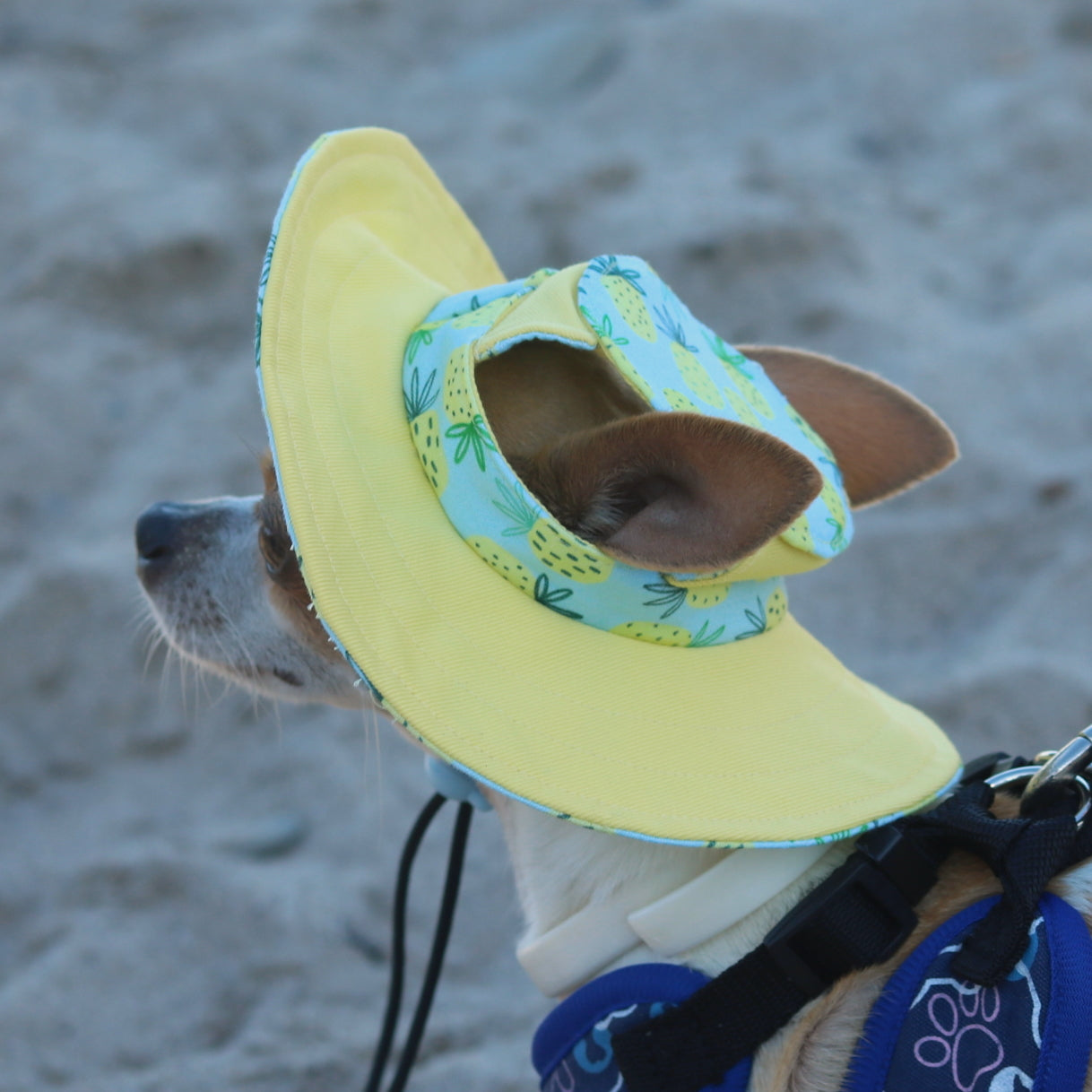 Lola Pine Dog Bucket Hat