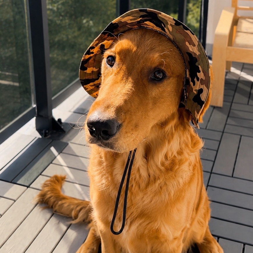 Ranger Dog Bucket Hat