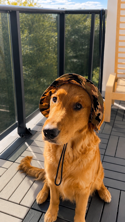 Ranger Dog Bucket Hat