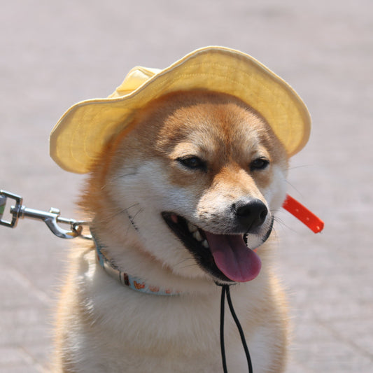 Linen Mellow Dog Bucket Hat
