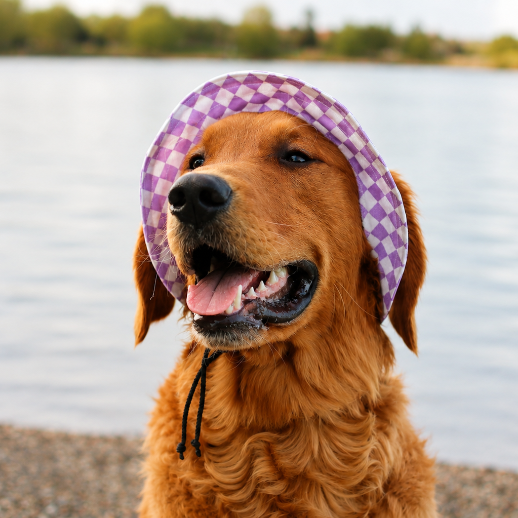 Lavender Cove Dog Bucket Hat