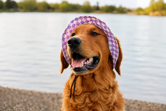 Lavender Cove Dog Bucket Hat