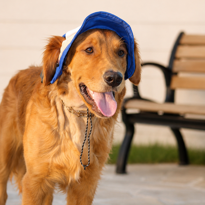 Bob pour chien Bubble Skye